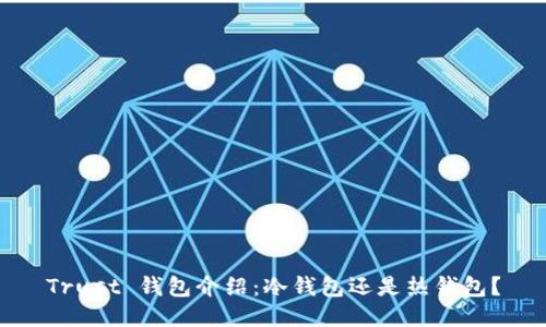 Trust 钱包介绍：冷钱包还是热钱包？