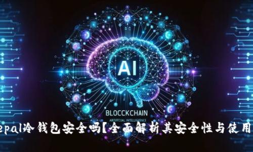 Safepal冷钱包安全吗？全面解析其安全性与使用体验