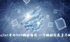 TPWallet中的BNB地址解析：一