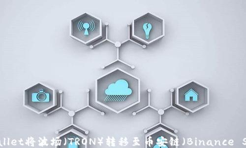 
如何使用TPWallet将波场（TRON）转移至币安链（Binance Smart Chain）