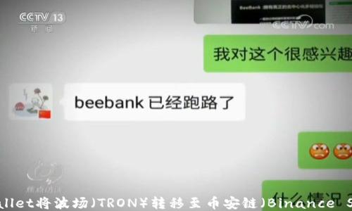 如何使用TPWallet将波场(TRON)转移至币安链(Binance Smart Chain)