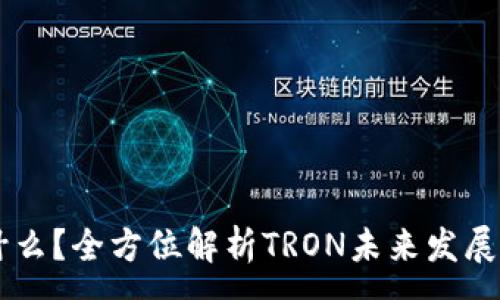 :
TRON币是什么？全方位解析TRON未来发展与投资机会