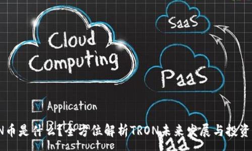 :
TRON币是什么？全方位解析TRON未来发展与投资机会