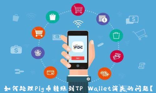 
如何处理Pig币转账到TP Wallet消失的问题？