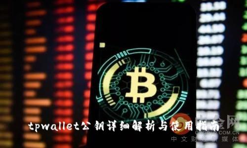 tpwallet公钥详细解析与使用指南