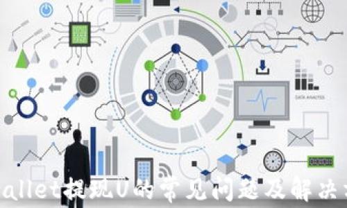 
tpwallet提现U的常见问题及解决方案